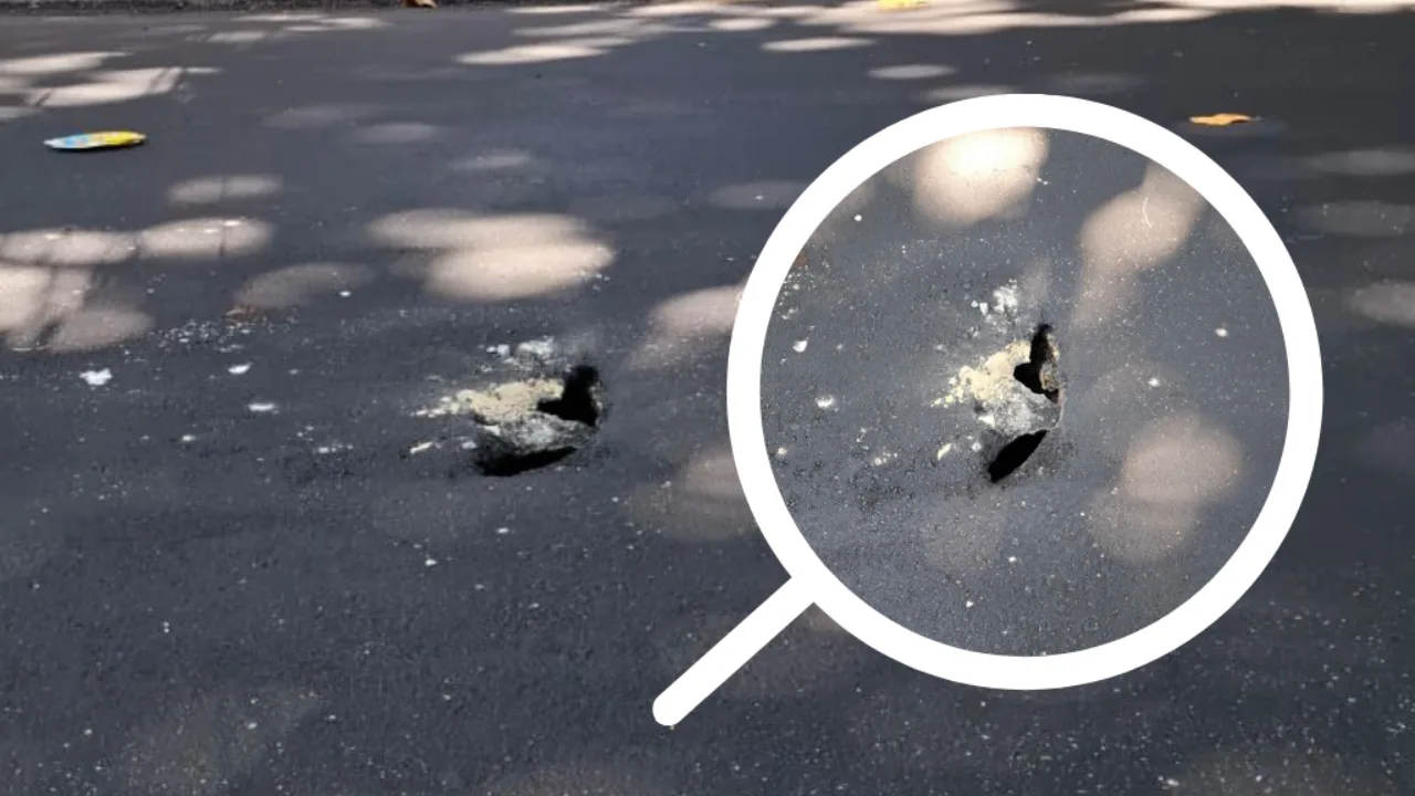 Rua Borda do Mato apresenta buracos na pista menos de 12h após ser asfaltada