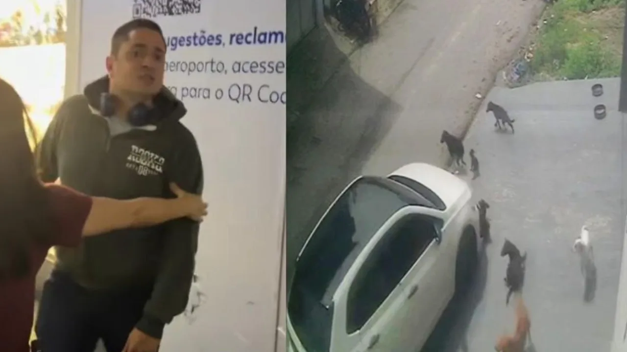 "Se eu pudesse, fazia de novo" - estas são as palavras de Jefferson Buhler, que atropelou propositalmente cães que estavam na calçada