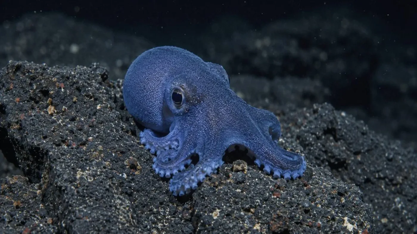 Dos Polvos Miniatura aos Mamutes: A Biotecnologia Desvenda os Segredos Mais Surpreendentes da Natureza!