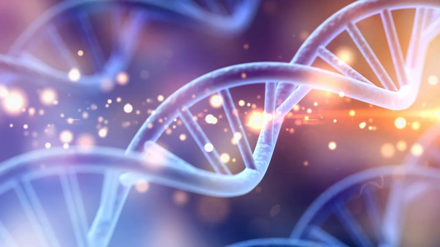 DNA Revelado: Da Arte Rupestre à Revolução Verde na Agricultura Global